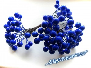 Калина глянцева СИНЯ
